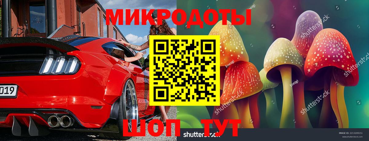 Псилоцибиновые грибы Psilocybine cubensis  Вход с VPN  Чехов  Псилоцибиновые грибы Cubensis 